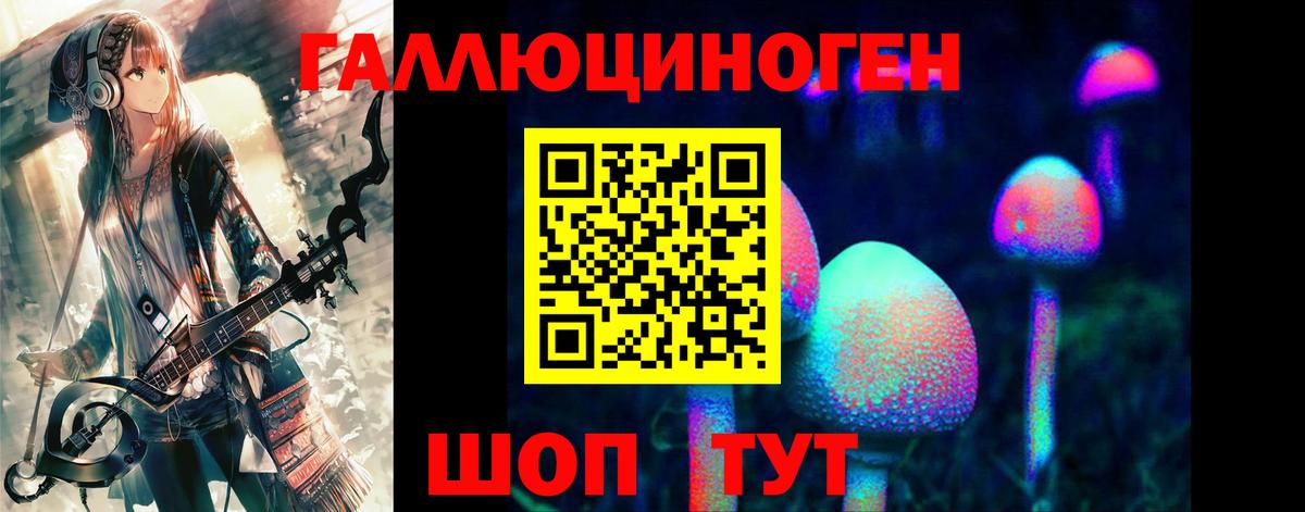 Псилоцибиновые грибы мицелий Славянск-на-Кубани